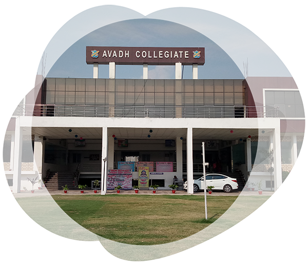 Avadh Collegiate: Best CBSE School Lucknow