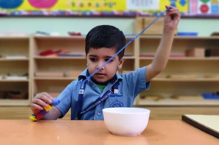 American Montessori Public School