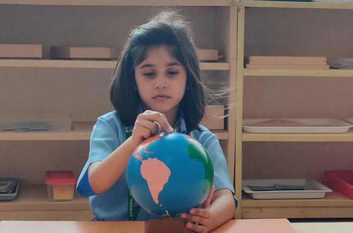 American Montessori Public School