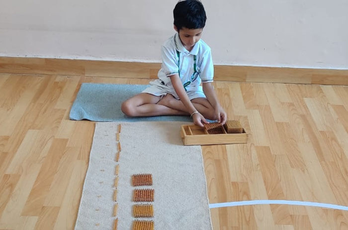 American Montessori Public School