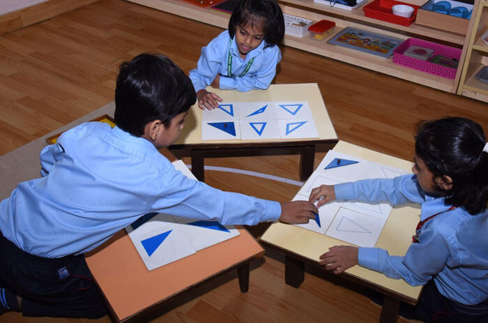 American Montessori Public School