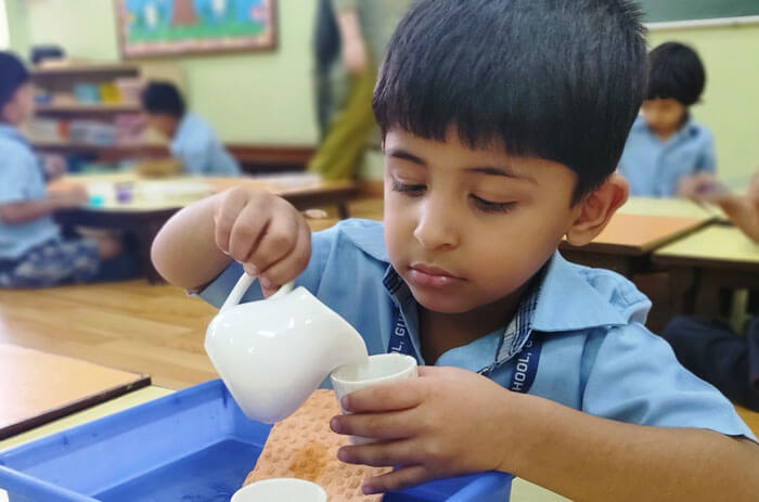 American Montessori Public School