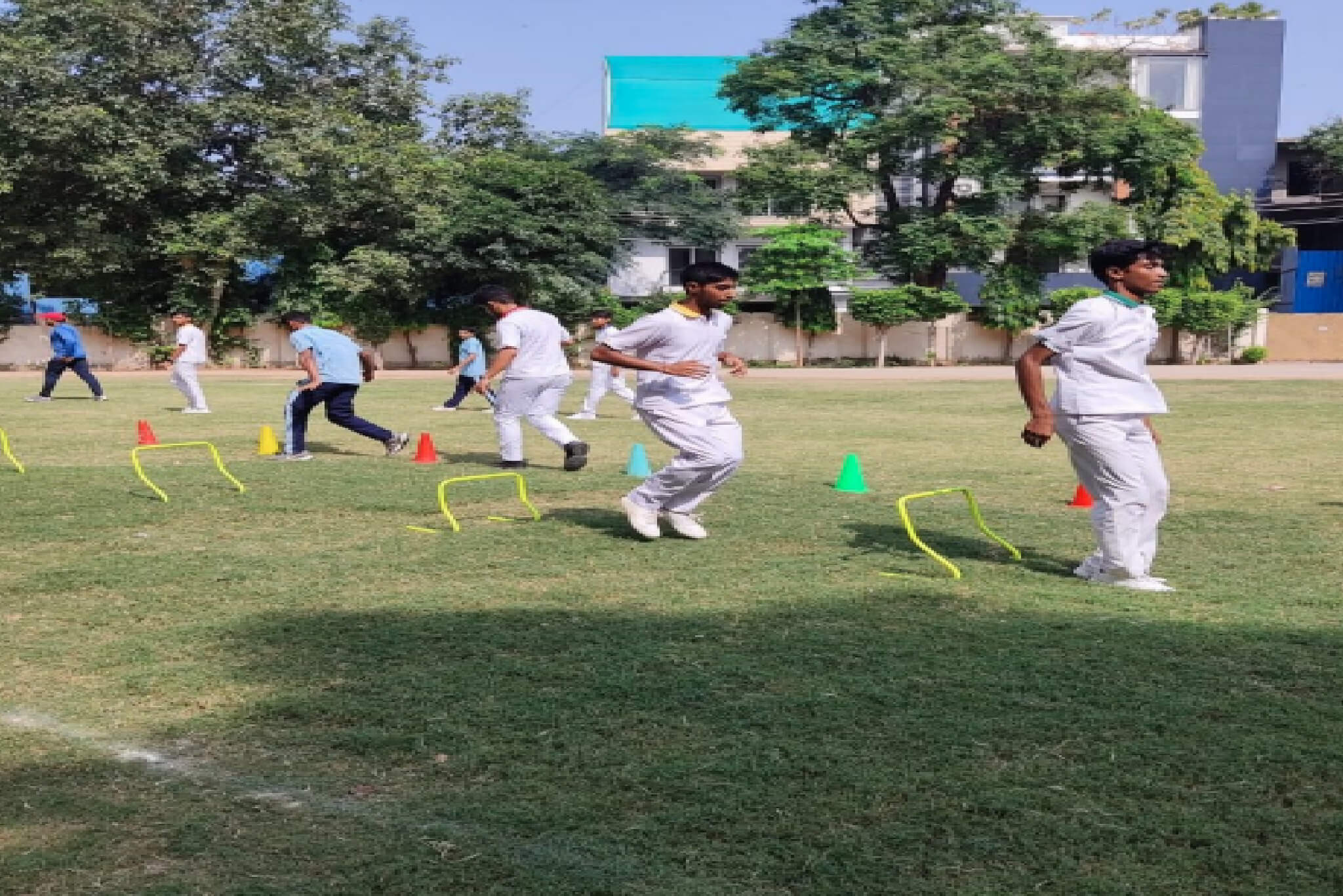 American Montessori Public School