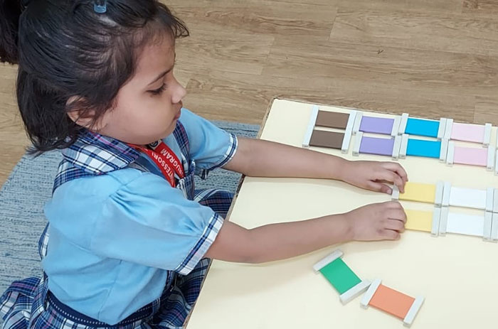 American Montessori Public School