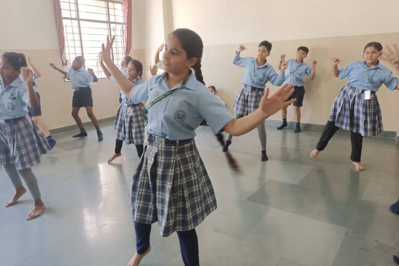 American Montessori Public School