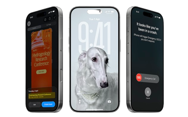 Management Dashboard
