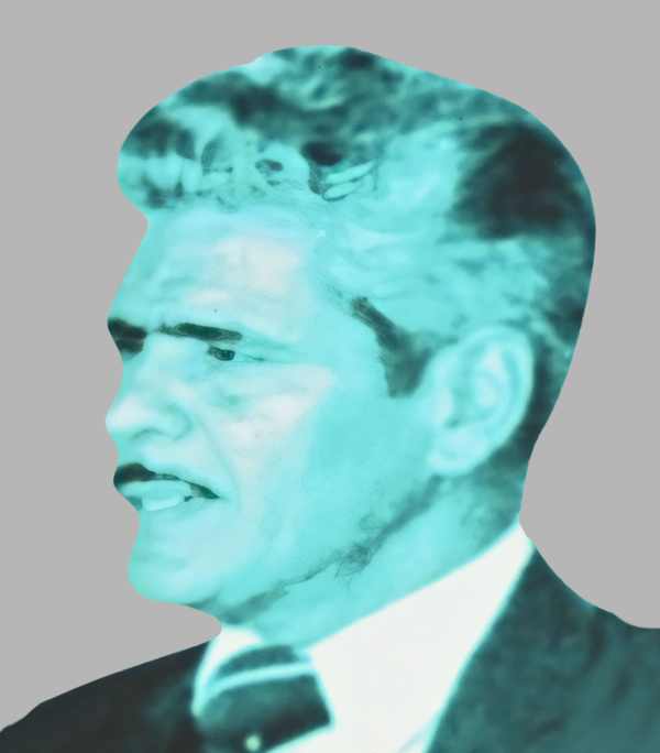 The Frank Anthony Public School, Bengaluru