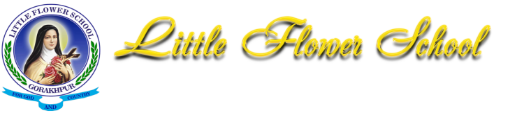 Gandhi High School, Sidhi - Madhya Pradesh