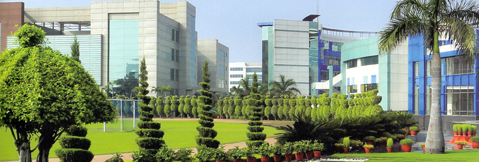 Lotus Valley International School, Noida