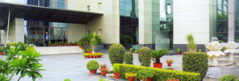 Lotus Valley International School, Noida