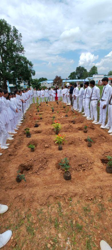 Plantation Drive