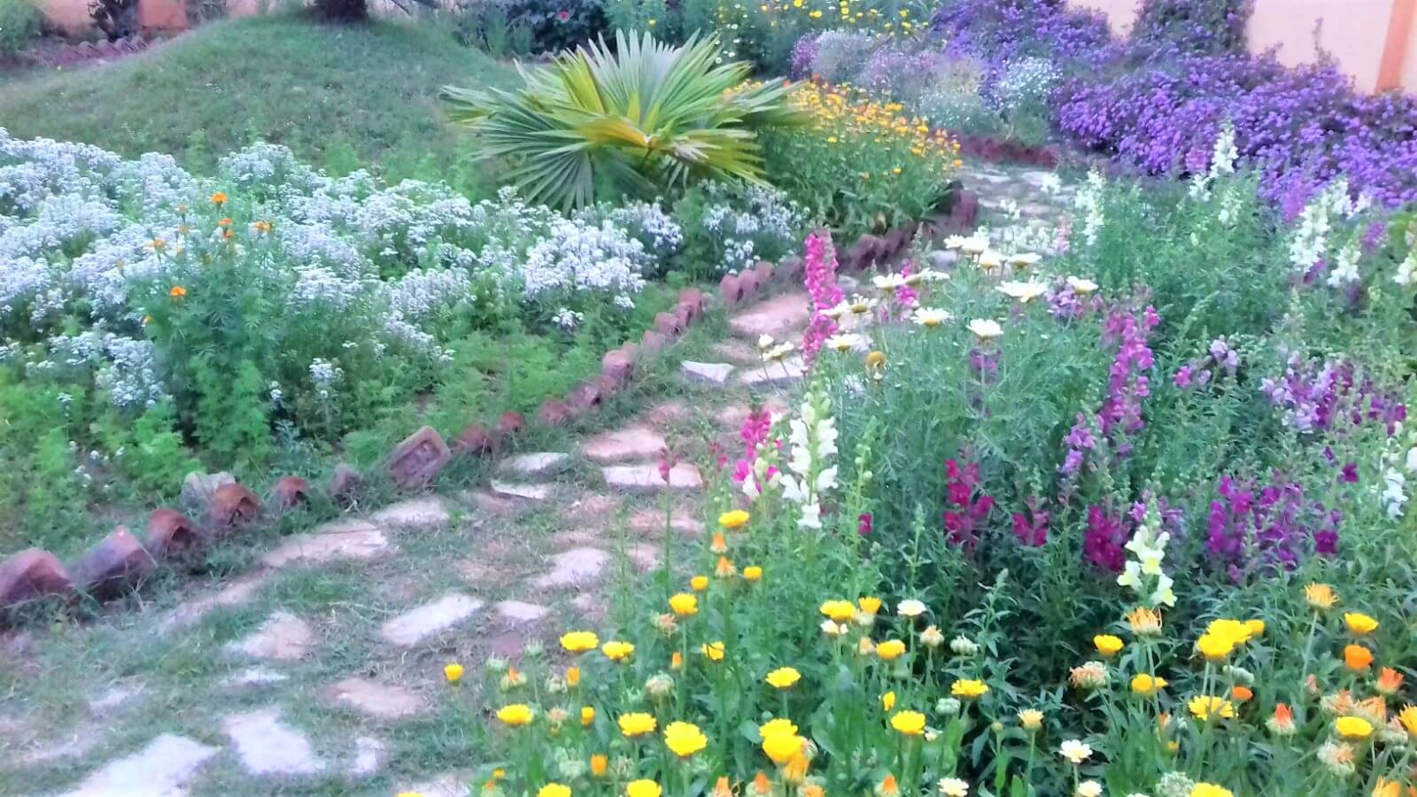 St. Gianelli Convent School, Nagpur