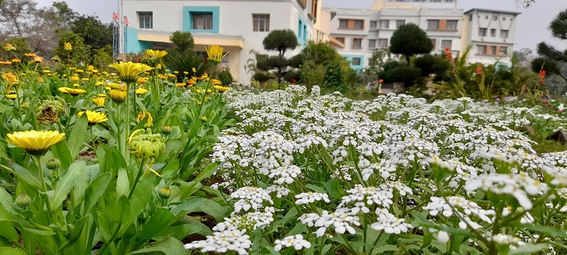 St. Gianelli Convent School, Nagpur