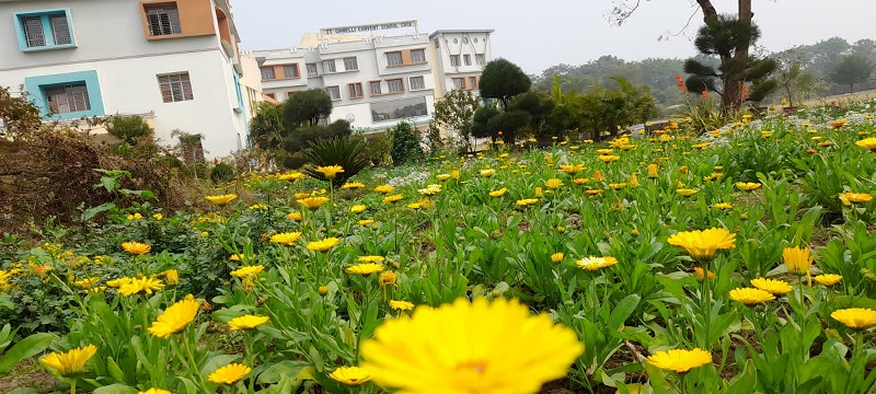 St. Gianelli Convent School, Nagpur