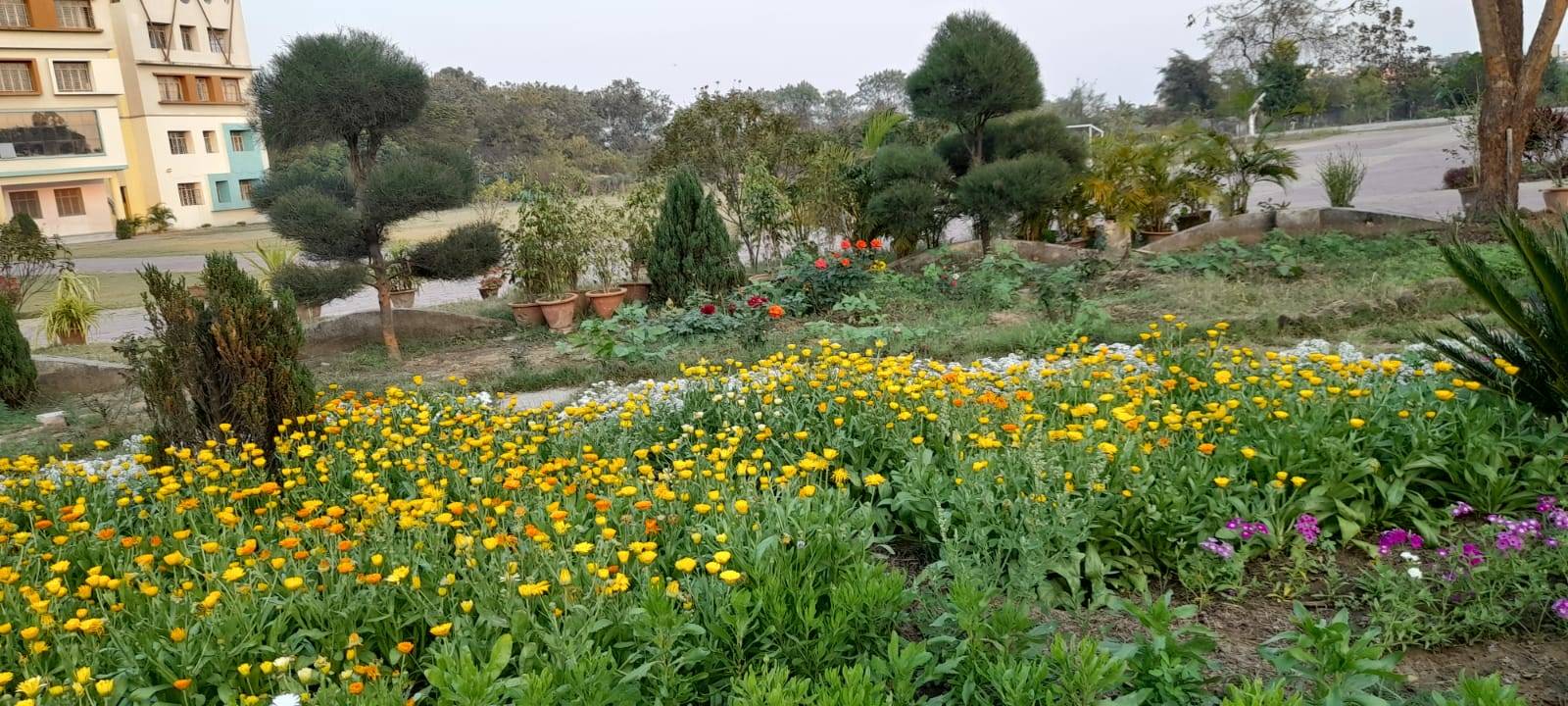 St. Gianelli Convent School, Nagpur