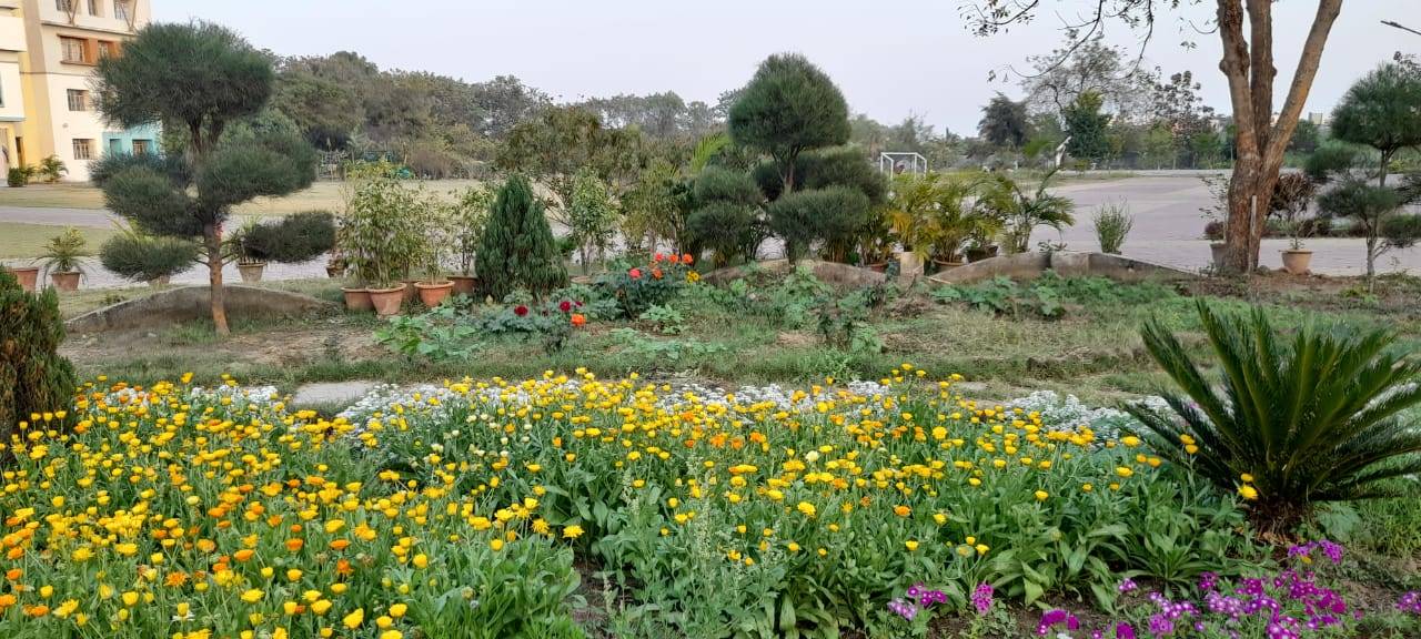 St. Gianelli Convent School, Nagpur