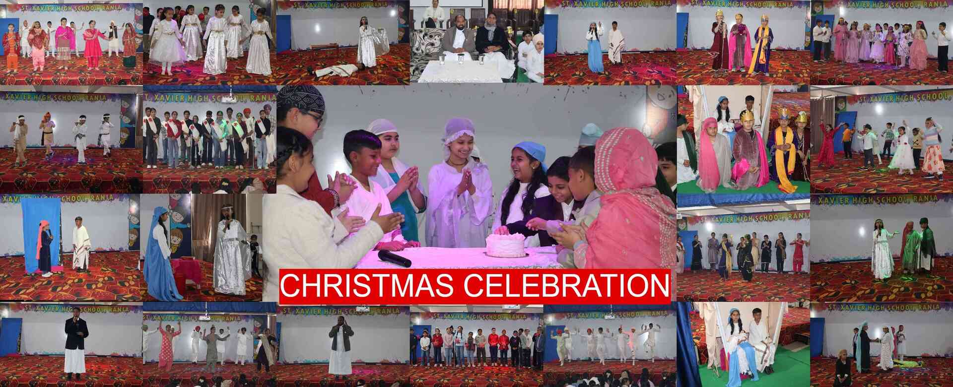 St. Xavier High School, Rania, Haryana